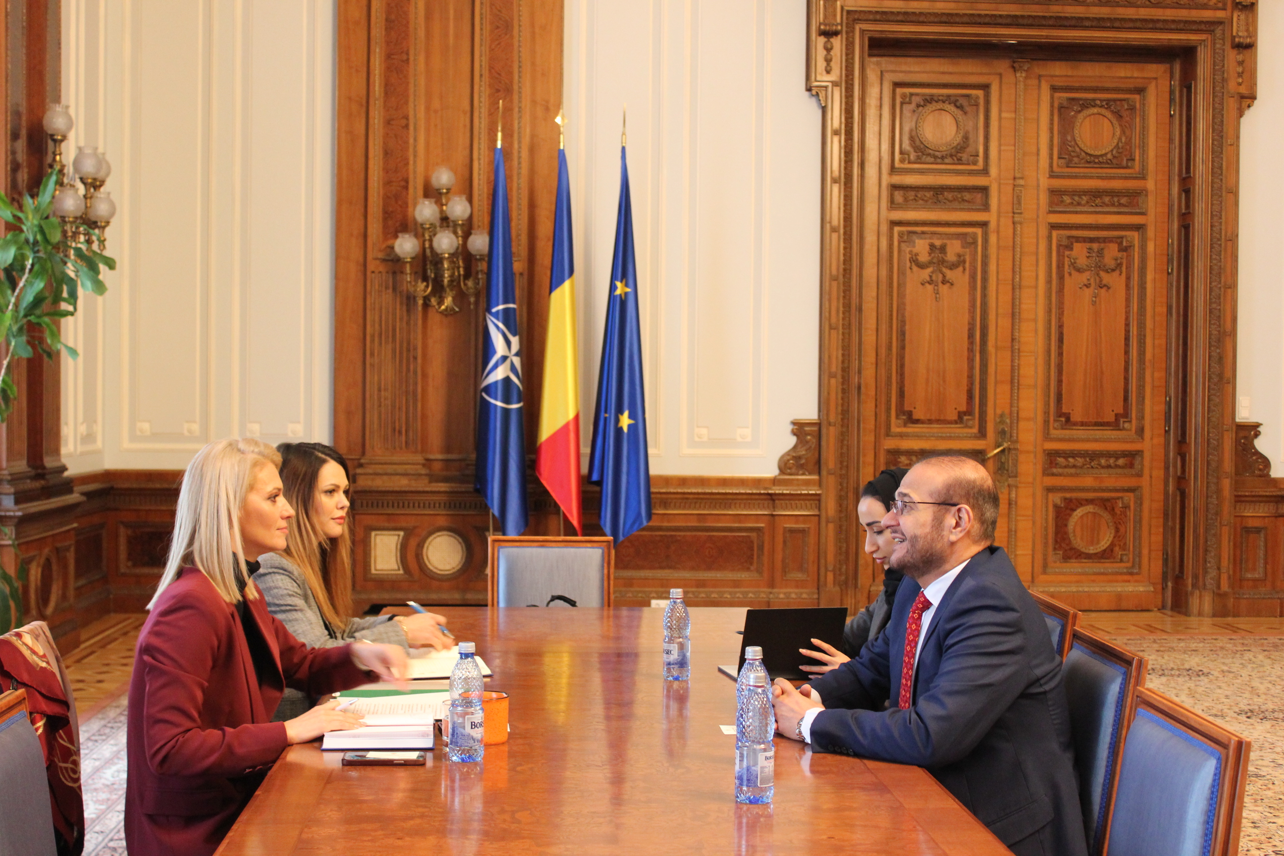 Excelența Sa/ Sultan Mohamed Majed Al Ali – Ambasadorul Emiratelor Arabe Unite în România a avut o întrevedere cu Excelența Sa/ Doamna Alina Gorghiu - Președintele Senatului României.