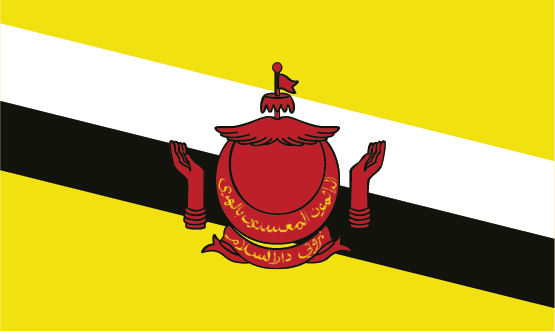 Brunei flag