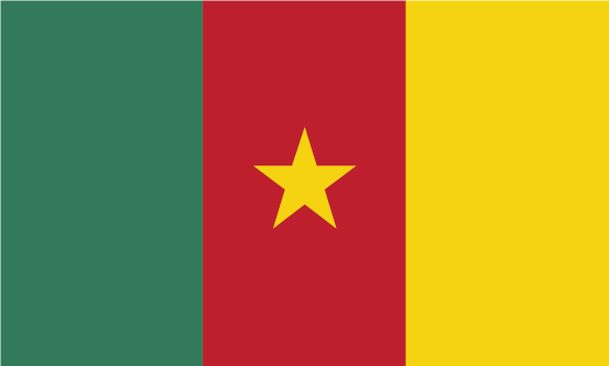 Cameroon flag