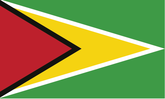 Guyana flag