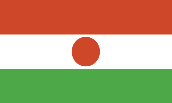 Niger flag