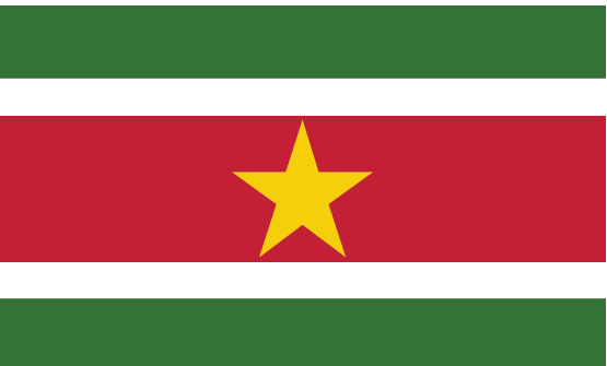 Suriname flag