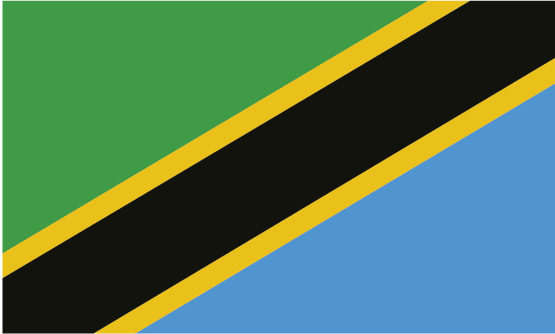 Tanzania flag