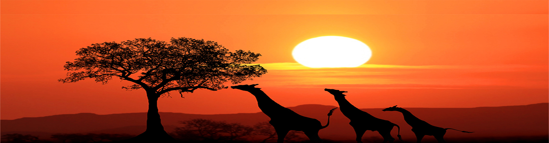Copy of Banner-2